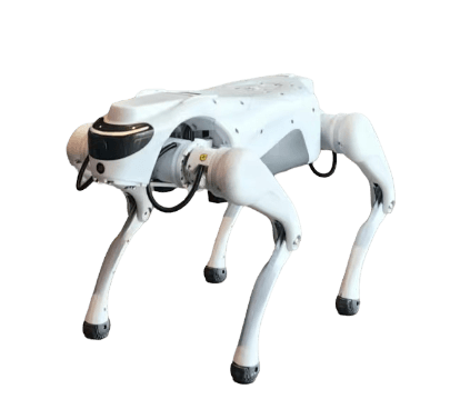 CYBERSTARS - Quadruped robot CYBER 1